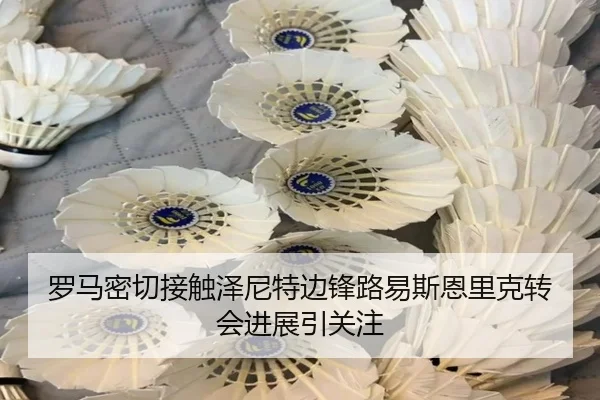 罗马密切接触泽尼特边锋路易斯恩里克转会进展引关注 | KaiyuanGames